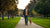 Timing is Everything: How Long After Eating Should You Exercise Your Dog?