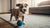Understanding Airedale Terrier Health Problems: A Comprehensive Guide for Dog Owners