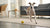 Understanding Airedale Terrier Temperament: A Comprehensive Guide for Pet Owners