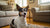 Understanding Akita Health Problems: A Comprehensive Guide for Pet Owners