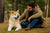 Understanding Akita Personality Traits for Every Owner