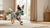Understanding American Bulldog Health Problems: A Comprehensive Guide