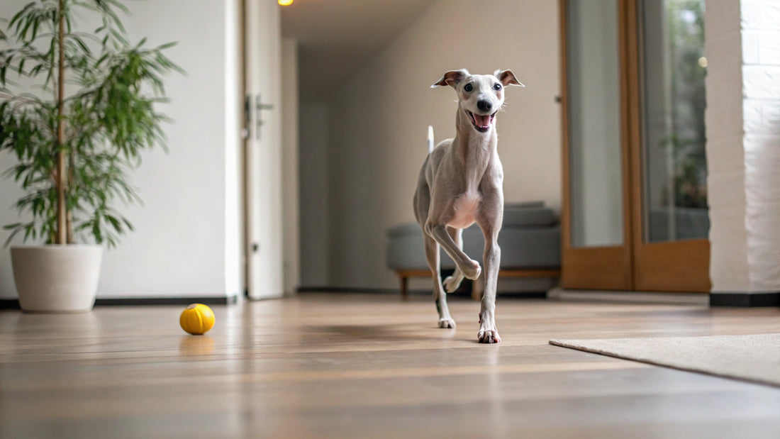 Understanding American Bulldog Temperament: A Comprehensive Guide for Potential Owners
