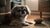 Understanding Anatolian Shepherd Health Problems: A Comprehensive Guide for Pet Owners