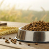 Understanding Ancient Grains in Dog Food: A Comprehensive Guide