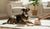 Understanding and Correcting Protective Dog Behavior: A Comprehensive Guide-141421478127