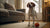 Understanding Basenji Health Problems: A Comprehensive Guide for Pet Owners