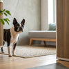 Understanding Basenji Temperament: A Comprehensive Guide for Dog Lovers