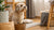 Understanding Beagle Temperament: A Comprehensive Guide for Dog Lovers