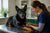 Understanding Beauceron Health Problems and Care