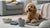 Understanding Bedlington Terrier Temperament: A Comprehensive Guide for Dog Lovers