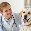 Understanding Behavioral Euthanasia for Dogs: When Is It the Right Choice?