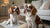 Understanding Bichon Frise Temperament: A Comprehensive Guide