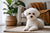 Understanding Bichon Frise Temperament: A Comprehensive Guide