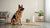 Understanding Bloodhound Temperament: A Comprehensive Guide for Potential Owners