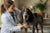 Understanding Bluetick Coonhound Health Problems: A Comprehensive Guide