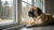 Understanding Boerboel Temperament: A Comprehensive Guide for Dog Owners