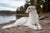 Understanding Borzoi Temperament and Personality