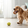 Understanding Briard Personality Traits: A Deep Dive into This Unique Breed