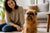 Understanding Brussels Griffon Temperament: A Comprehensive Guide for Potential Owners