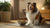 Understanding Bullmastiff Temperament: The Gentle Giant of Canine Companions