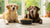 Understanding Can Dog Food for Senior Dogs: The Essentials for Your Aging Canine Companion-141044941039