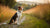 Understanding Canine Communication: What is the Behavior of Dog?-141216514287