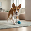 Understanding Chihuahua Personality Traits: The Big Heart in a Tiny Body