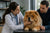Understanding Chow Chow Health Problems: What Every Prospective and Current Owner Should Know