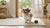 Understanding Clumber Spaniel Temperament: A Guide for Dog Lovers and Owners