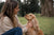 Understanding Cocker Spaniel Temperament: What Every Dog Lover Should Know