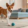Understanding Collie Health Problems: What Every Owner Should Know