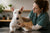 Understanding Common Bull Terrier Health Problems