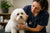 Understanding Common Coton de Tulear Health Problems