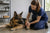 Understanding Common German Shepherd Health Problems
