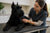 Understanding Common Giant Schnauzer Health Problems