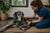 Understanding Common Great Dane Health Problems