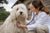 Understanding Common Komondor Health Problems