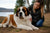 Understanding Common Saint Bernard Health Problems
