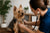 Understanding Common Silky Terrier Health Problems
