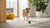 Understanding Doberman Pinscher Temperament: What Every Pet Owner Should Know