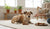 Understanding Dog Aggression: How Do I Stop Aggressive Dog Behavior?-141422919919
