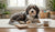 Understanding Dog Behavior Training Costs: What to Expect-141421543663