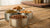 Understanding Dog Food Costs: How Much Does a Can of Dog Food Cost?