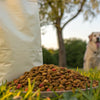 Understanding Dog Food Measurements: How Much Does a Large Bag of Dog Food Weigh?
