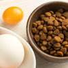 Understanding Dried Egg Product in Dog Food: Nutritional Benefits and Practical Insights