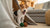 Understanding English Cocker Spaniel Personality Traits: What Every Dog Lover Should Know