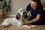 Understanding English Setter Health Problems
