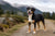 Understanding Entlebucher Mountain Dog Personality Traits