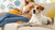 Understanding Food Allergies in Dogs: How Long Do They Last?-141112574191